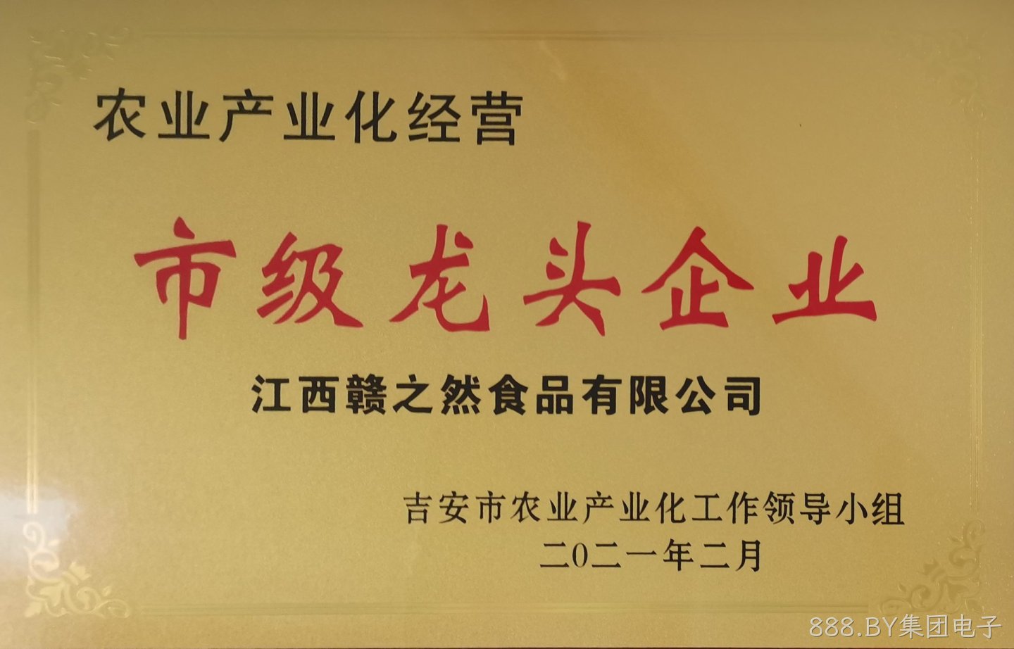 市级龙头企业